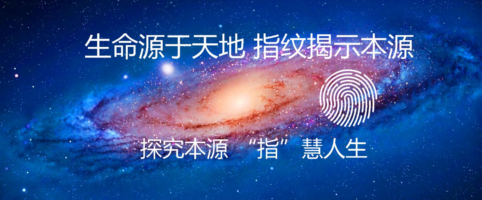 首页幻灯3